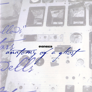 欧美18V❌❌❌❌视频
